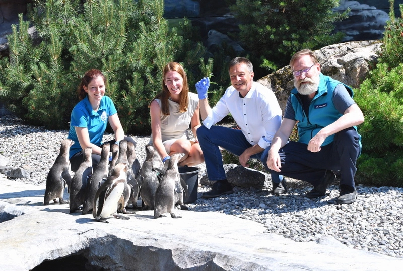 Gruppenfoto im Pinguingehege des Rostocker Zoos